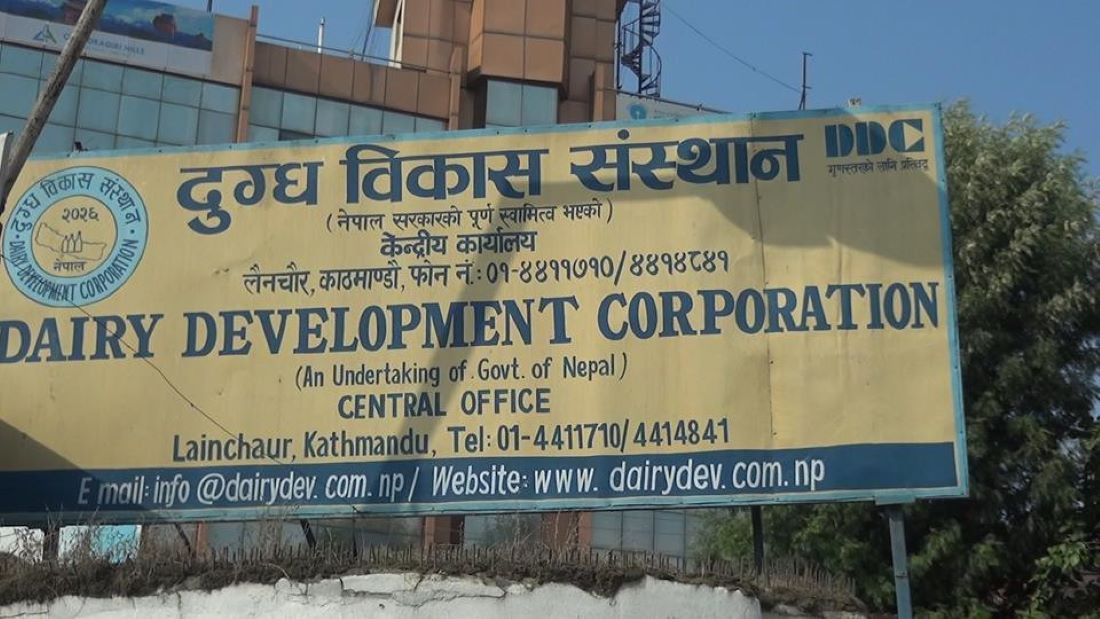 Dairy Development Corporation (DDC)