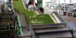Tea Estate Related Machines